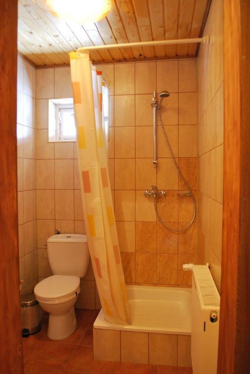 Pensiunea Alexandra Vatra Moldoviţei Camera foto